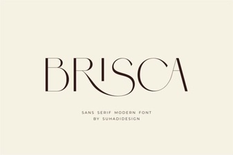 Brisca Font for Modern Design Projects